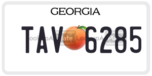 TAV6285  license plate in GA