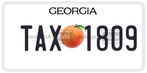 TAX1809  license plate in GA