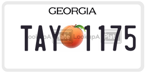 TAY1175 license plate in Georgia