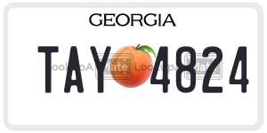 TAY4824  license plate in GA