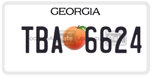 TBA6624  license plate in GA