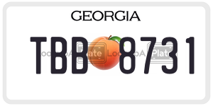TBB8731  license plate in GA
