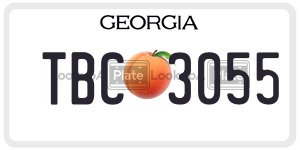 TBC3055  license plate in GA