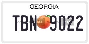 TBN9022  license plate in GA