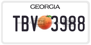 TBV3988  license plate in GA