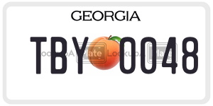 TBY0048  license plate in GA