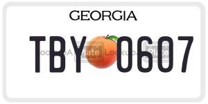 TBY0607  license plate in GA