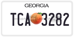 TCA3282 license plate in Georgia
