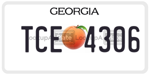 TCE4306 license plate in Georgia