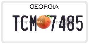 TCM7485  license plate in GA