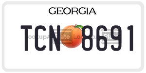 TCN8691 license plate in Georgia