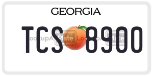 TCS8900  license plate in GA