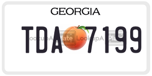 TDA7199  license plate in GA