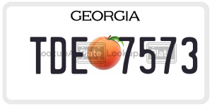TDE7573  license plate in GA