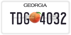 TDG4032  license plate in GA