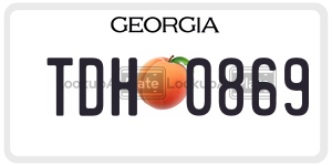 TDH0869 license plate in Georgia