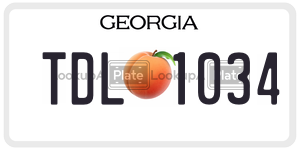 TDL1034  license plate in GA