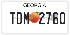 TDM2760 license plate in Georgia