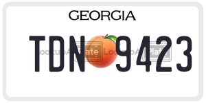 TDN9423  license plate in GA