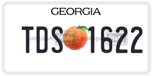 TDS1622 license plate in Georgia