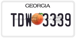 TDW3339  license plate in GA