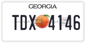 TDX4146  license plate in GA