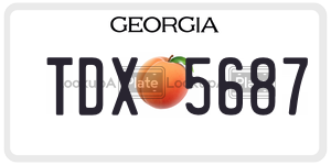 TDX5687  license plate in GA
