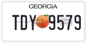 TDY9579  license plate in GA