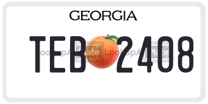 TEB2408  license plate in GA