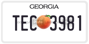 TEC3981 license plate in Georgia