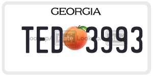 TED3993 license plate in Georgia