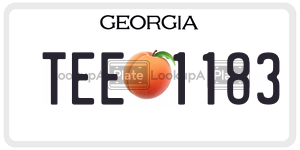TEE1183  license plate in GA