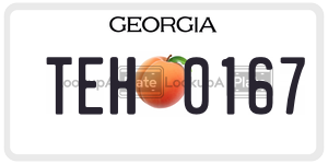 TEH0167  license plate in GA