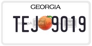 TEJ9019  license plate in GA
