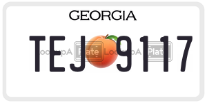 TEJ9117  license plate in GA