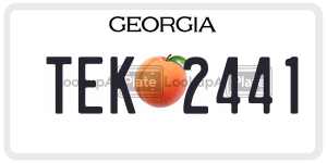 TEK2441  license plate in GA