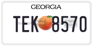 TEK8570 license plate in Georgia
