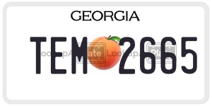 TEM2665 license plate in Georgia