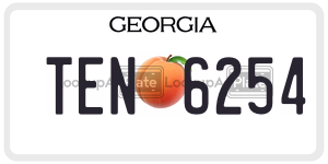 TEN6254 license plate in Georgia