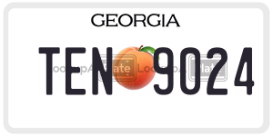 TEN9024  license plate in GA