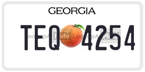 TEQ4254  license plate in GA