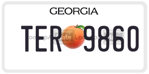 TER9860  license plate in GA