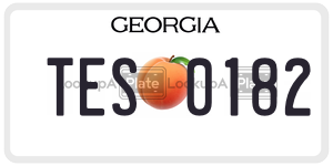 TES0182 license plate in Georgia