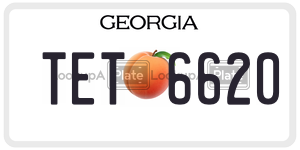 TET6620 license plate in Georgia