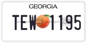 TEW1195 license plate in Georgia