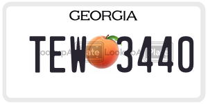 TEW3440  license plate in GA
