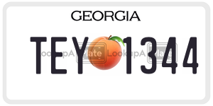 TEY1344  license plate in GA