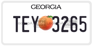 TEY3265 license plate in Georgia