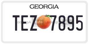 TEZ7895  license plate in GA