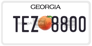 TEZ8800 license plate in Georgia
